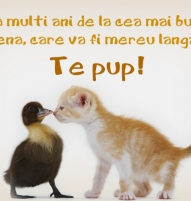 Felicitare cea mai buna prietena zi de nastere