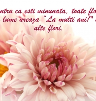 Felicitare de Florii pentru cei dragi
