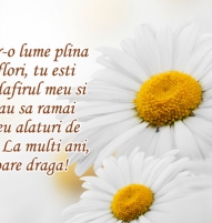 Felicitare de Florii cu margareta