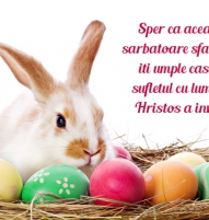 Felicitare de Pasti cu iepuras
