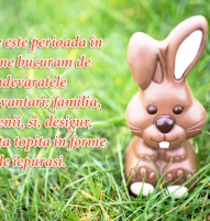 Felicitare amuzanta de Pasti cu iepuras de ciocolata