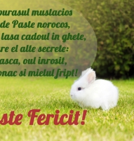 Felicitare de Paste iepuras