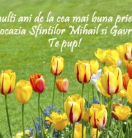 Felicitare Sfintii Mihail si Gavril 18