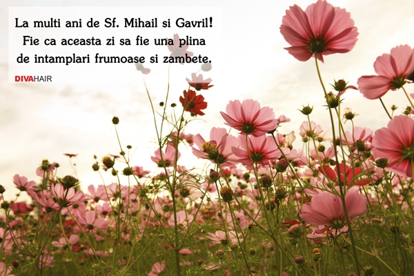 Felicitare Mihai si Gavril cu floricele