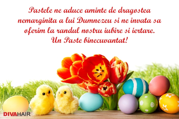 Felicitare de Pasti cu oua si puisor
