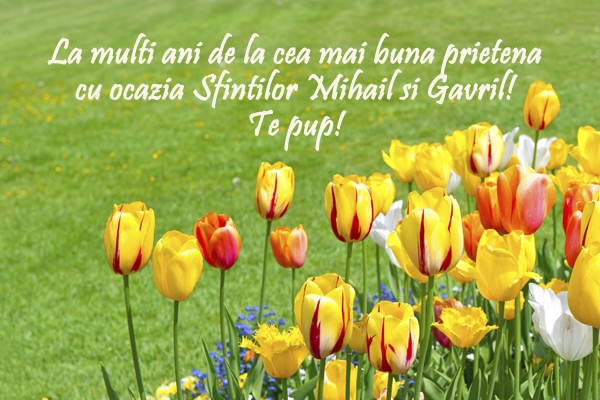 Felicitare Sfintii Mihail si Gavril 18