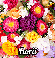 Felicitari Florii