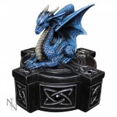 Cutie bijuterii dragon Draco Custos