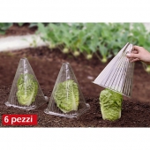 Set 6 conuri protectoare pentru plante