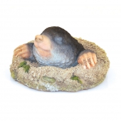 Decoratiune de gradina &amp;amp;#8211; Cartita