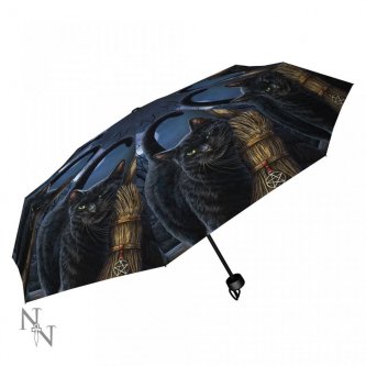 Umbrelă cu pisici O întâlnire magică