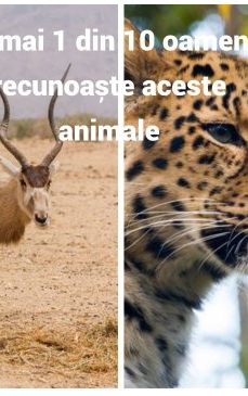 1 din 10 oameni identifică corect aceste animale