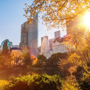 In ce oraș ar trebui să locuiești?