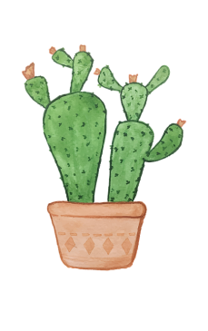 Ce părere ai despre un cactus pe post de plantă de apartament?